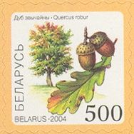 Oak (Quercus robur)