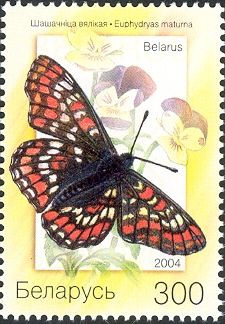 Scarce Fritillary (Euphydryas maturna)