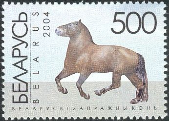 Belorussian Harness Horse (Equus ferus caballus)