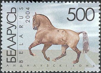 Andalusian Horse (Equus ferus caballus)