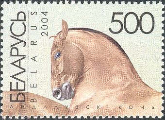 Andalusian Horse (Equus ferus caballus)