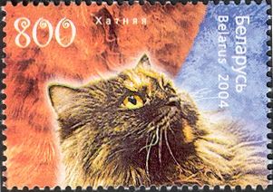 Persian (Felis silvestris catus)