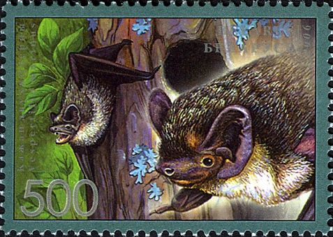 Eurasian Particolored Bat (Vespertilio murinus)