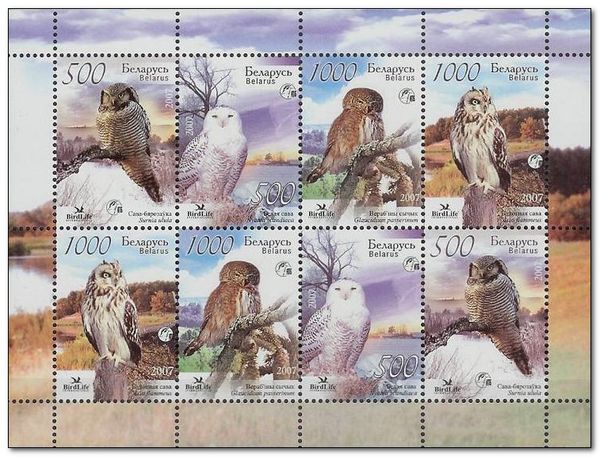 Thrush Nightingale (Luscinia luscinia)