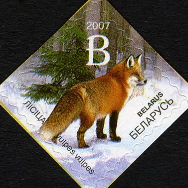 Red Fox (Vulpes vulpes)