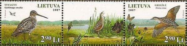 Chepkeliai and Kotra Nature Reserves - Birds