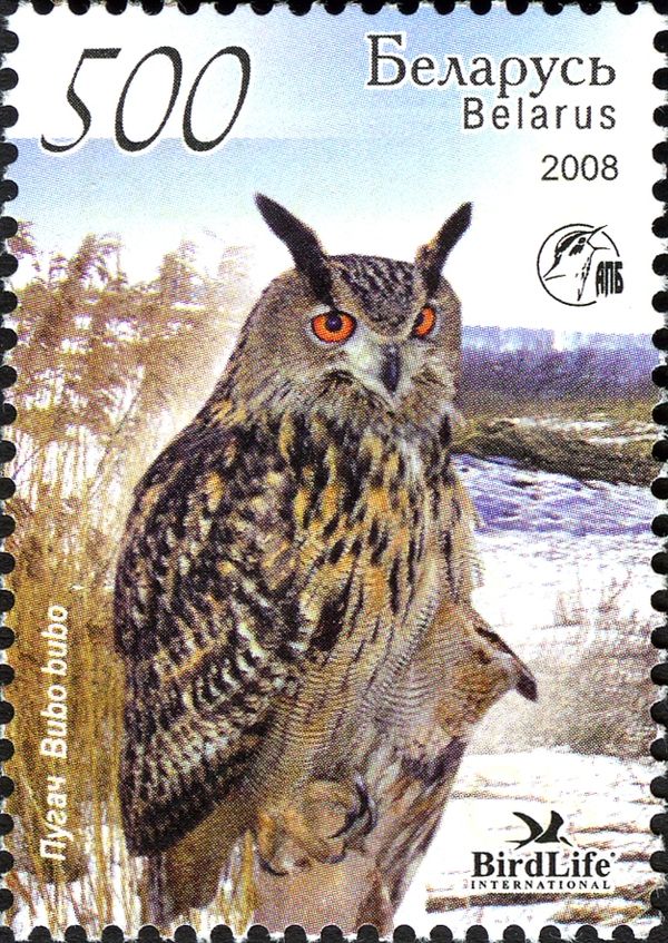 Eurasian Eagle-owl (Bubo bubo)