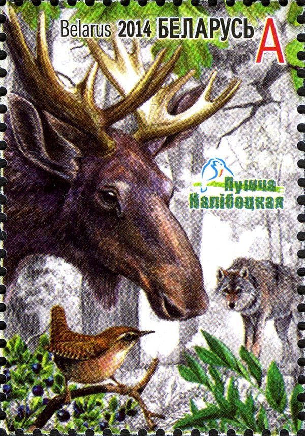 Moose (Alces alces), Wolf (Canis lupus), Eurasian Wren (Trog