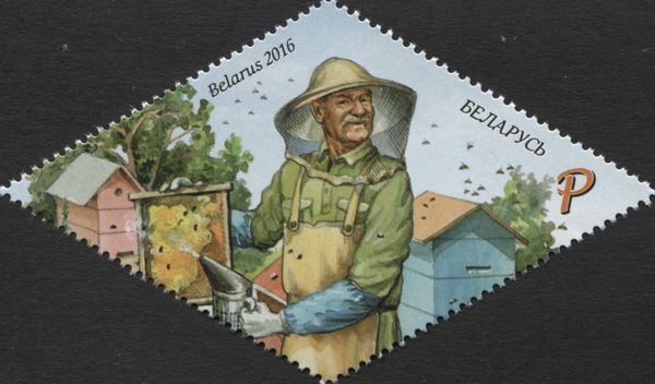 Apiarist and Bee Hives