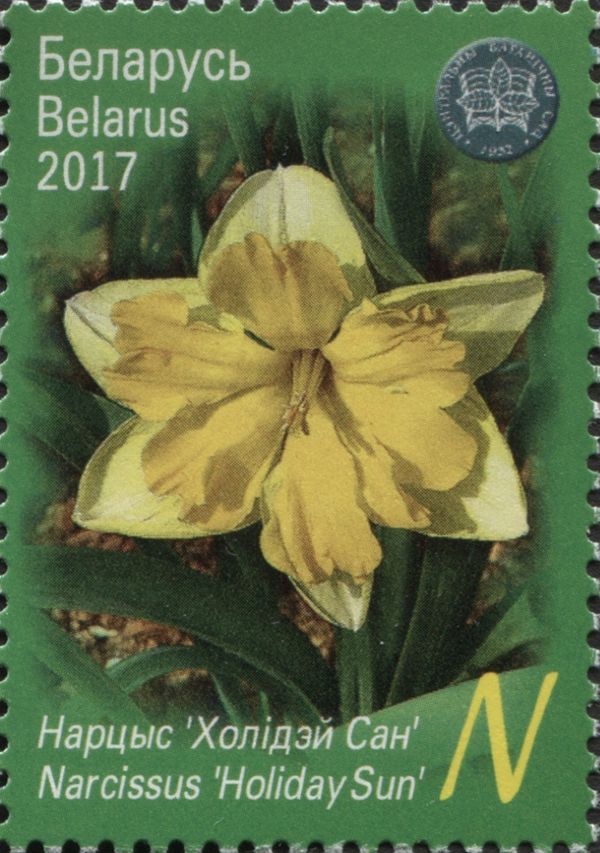 Daffodil 'Holiday Sun'