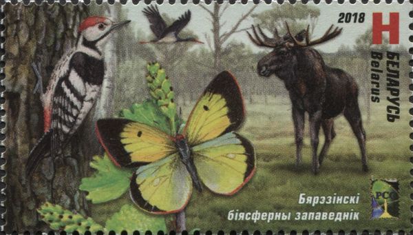 Berezinsky Biosphere Reserve