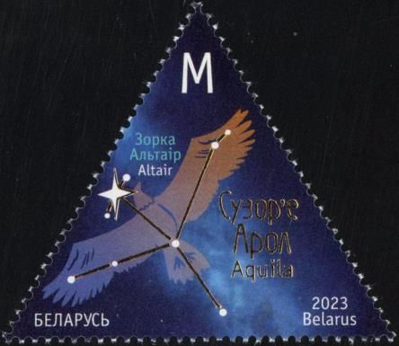 Aquila