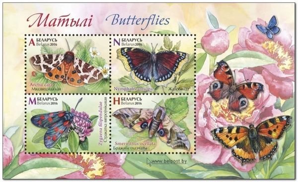 Butterflies and Moths (2016)