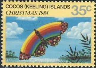 'Rainbow' Butterfly