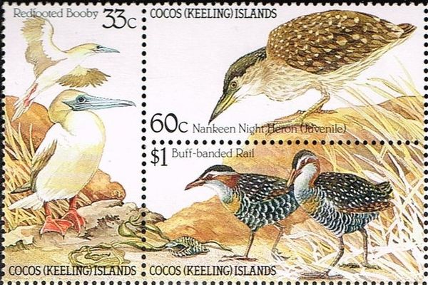Birds of Cocos (Keeling) Islands - Block of 3