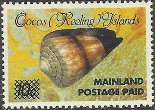 Soldier Cone (Conus miles) - Surch MAINLAND POSTAGE PAID
