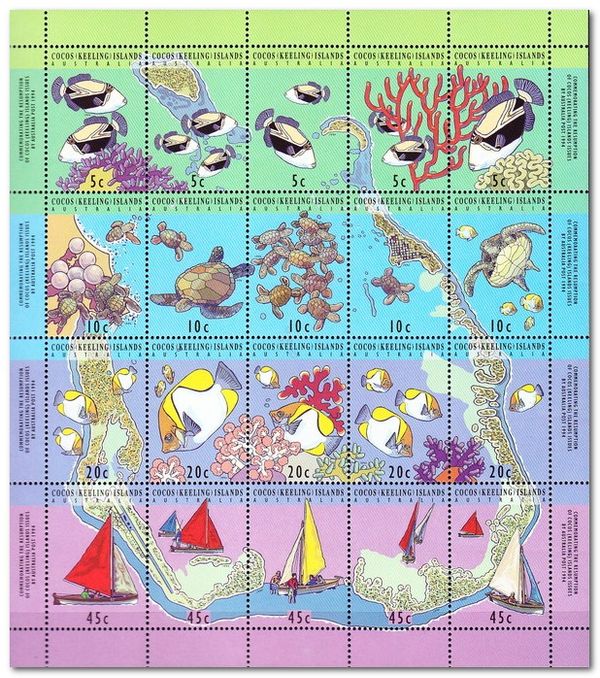 Two Pyramid Butterflyfish and Coral