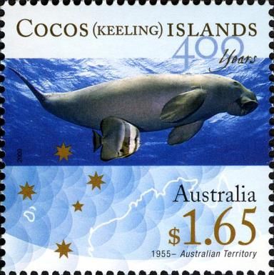 Dugong (Dugong dugon)