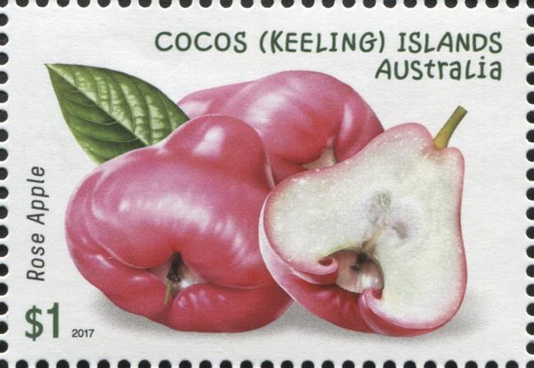 Rose Apple