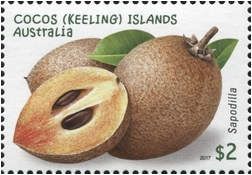 Sapodilla