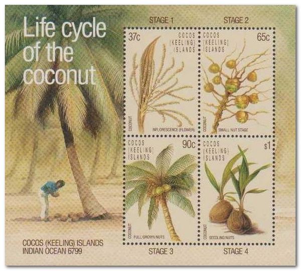 Life Cycle of the Coconut Souvenir Sheet