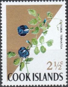 Butterfly Pea (Clitoria ternatea)
