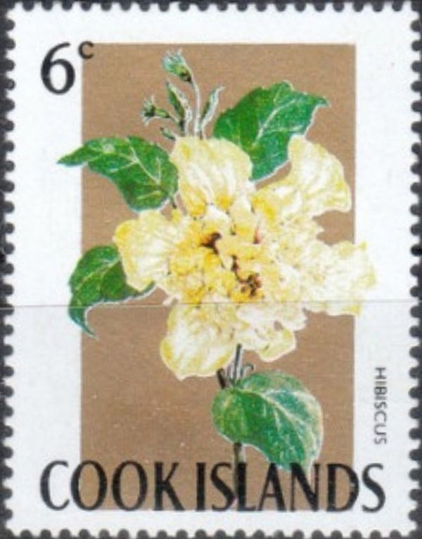 Yellow Hibiscus