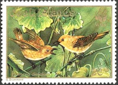 Rarotonga Monarch (Pomarea dimidiata)