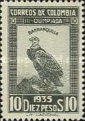 Andean Condor (Vultur gryphus)