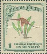 Masdevallia nicterina