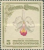 Cattleya chocoensis