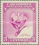Cattleya labiata trianae