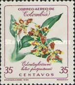 Odontoglossum luteopurpureum