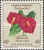 Anthurium andreanum