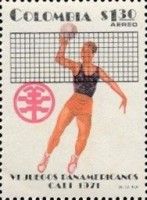 Volleyball