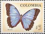 Achilles Blue Morpho (Morpho achilles)