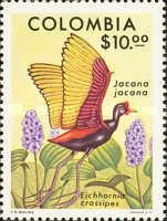 Wattled Jacana (Jacana jacana), Water Hyacinth (Eichhornia