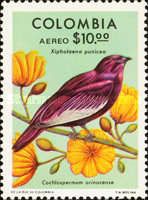 Pompadour Cotinga (Xipholena punicea), Tefé Rose (Cochlosper