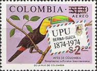 Keel-billed Toucan (Ramphastos sulfuratus)
