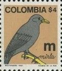 Mirla (Blackbird) - m