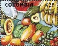 Colombian fruits - Coconut and Avocado