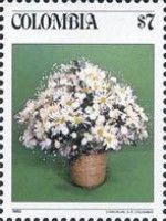 Floral Bouquet on a green background