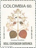 Cinchona Cordifolia