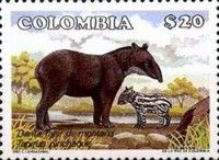 Mountain Tapir (Tapirus pinchaque)