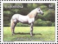White "Paso Fino" Horse 