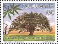 Kapok tree (Ceiba pentandra)
