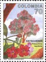 Tibouchina lepidota