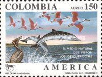 Brown Pelican, Roseate Spoonbill, Dolphin