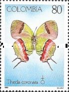 Crowned Hairstreak (Thecla coronata)