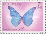 Blue Morpho (Morpho rhetenor)